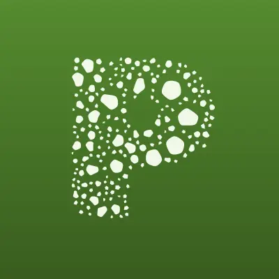 Pay.Travel, терминал, лого-визитка